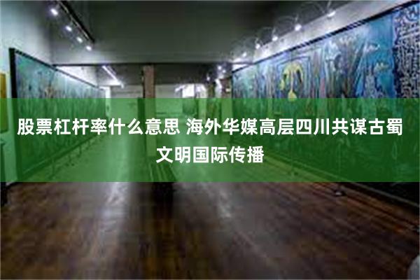 股票杠杆率什么意思 海外华媒高层四川共谋古蜀文明国际传播