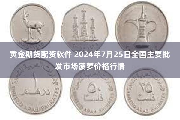 黄金期货配资软件 2024年7月25日全国主要批发市场菠萝价格行情