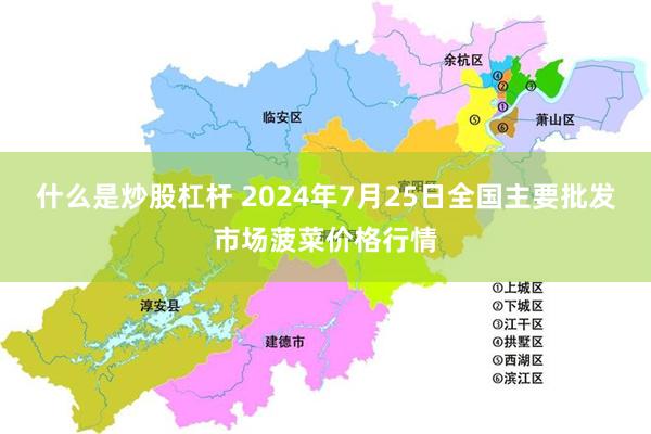 什么是炒股杠杆 2024年7月25日全国主要批发市场菠菜价格行情