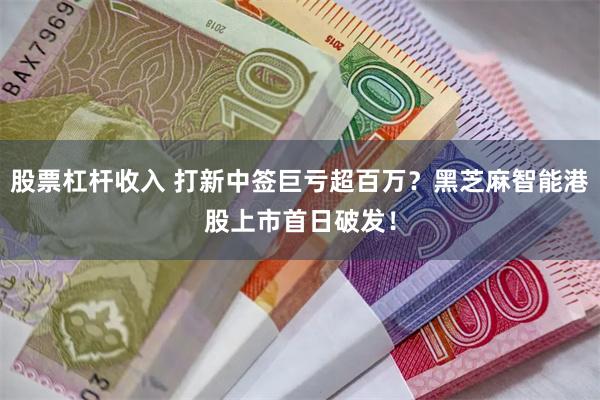 股票杠杆收入 打新中签巨亏超百万？黑芝麻智能港股上市首日破发！