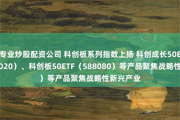 专业炒股配资公司 科创板系列指数上扬 科创成长50ETF（588020）、科创板50ETF（588080）等产品聚焦战略性新兴产业