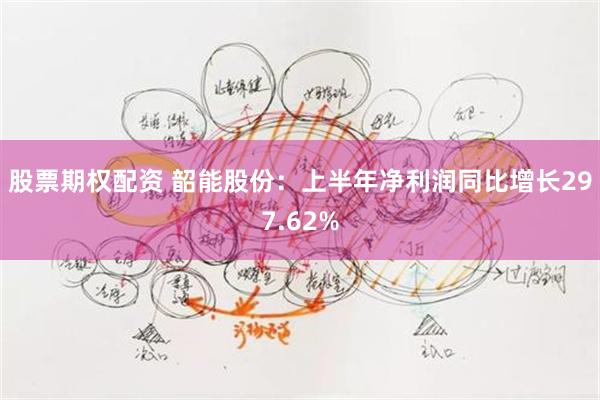 股票期权配资 韶能股份：上半年净利润同比增长297.62%