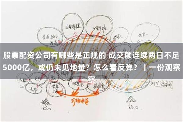 股票配资公司有哪些是正规的 成交额连续两日不足5000亿，或仍未见地量？怎么看反弹？丨一份观察