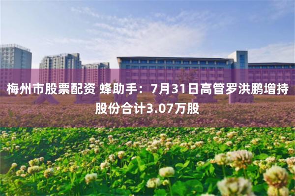 梅州市股票配资 蜂助手：7月31日高管罗洪鹏增持股份合计3.07万股