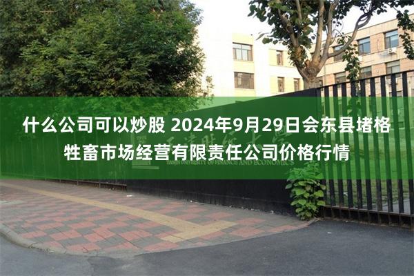 什么公司可以炒股 2024年9月29日会东县堵格牲畜市场经营有限责任公司价格行情