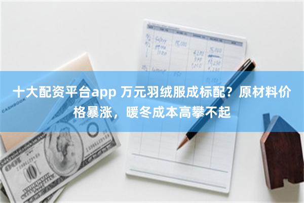 十大配资平台app 万元羽绒服成标配？原材料价格暴涨，暖冬成本高攀不起