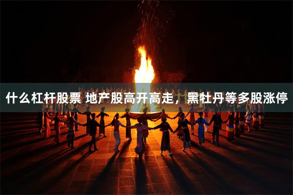 什么杠杆股票 地产股高开高走，黑牡丹等多股涨停