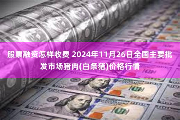 股票融资怎样收费 2024年11月26日全国主要批发市场猪肉(白条猪)价格行情