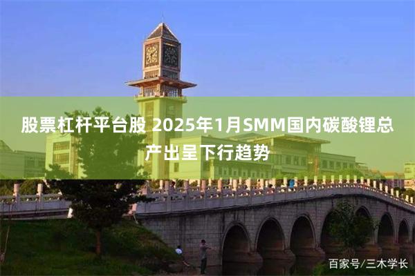 股票杠杆平台股 2025年1月SMM国内碳酸锂总产出呈下行趋势