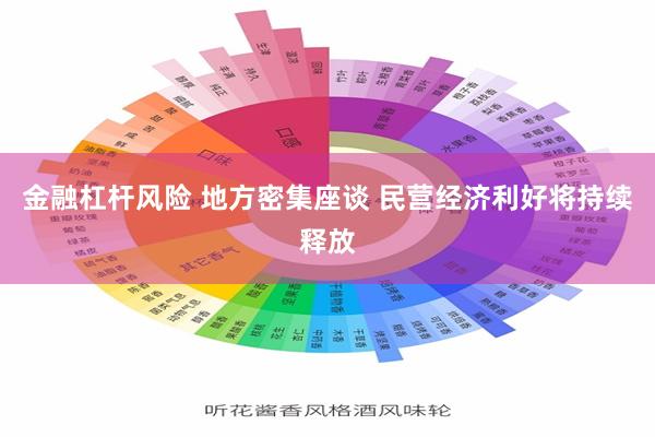 金融杠杆风险 地方密集座谈 民营经济利好将持续释放